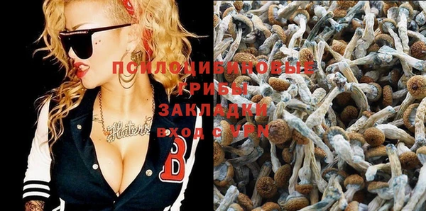 винт Балахна